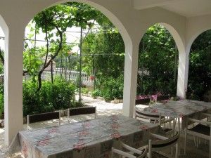 objects/1231/112253_slavica 30.jpg